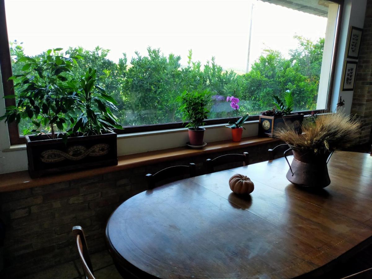 Bed and Breakfast Casale Del Sole Cepagatti Zewnętrze zdjęcie