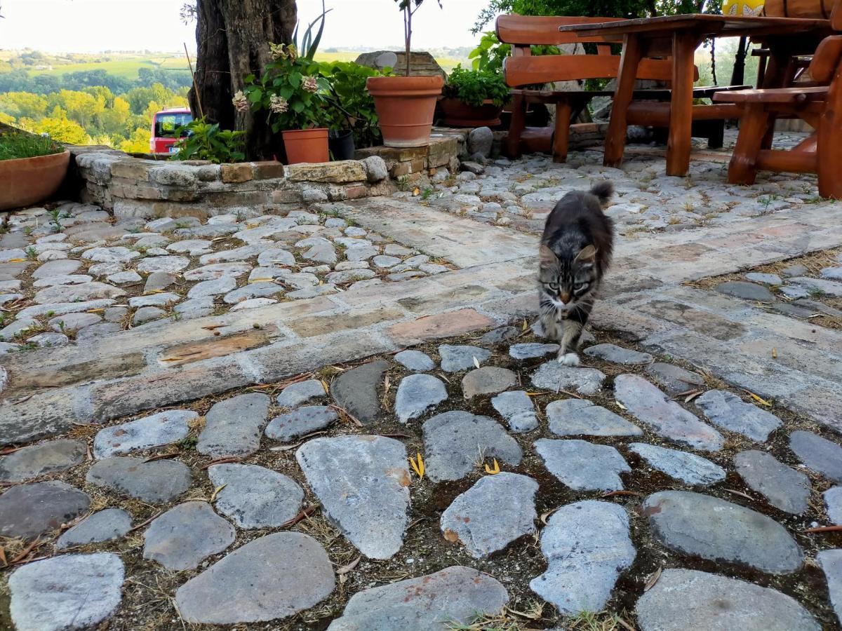 Bed and Breakfast Casale Del Sole Cepagatti Zewnętrze zdjęcie